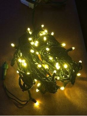 LED Light Strings 220V